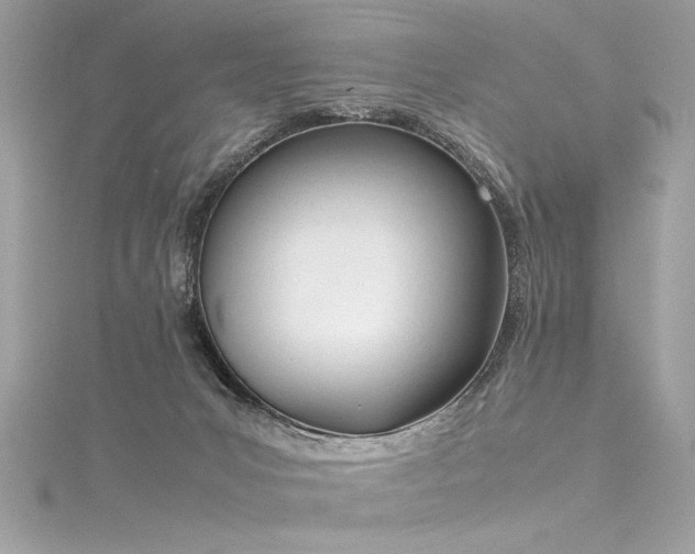 X0000116290031200911301428