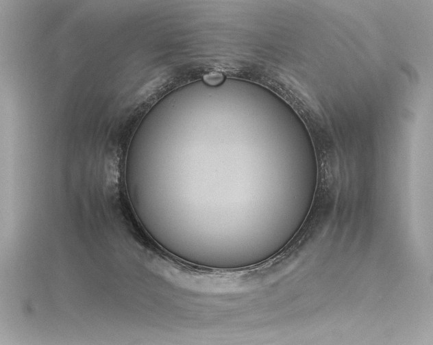 X0000116290032200911301428