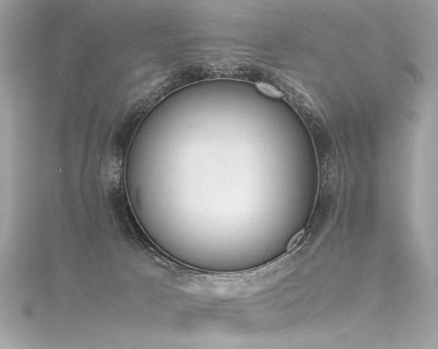 X0000116290033200911301428