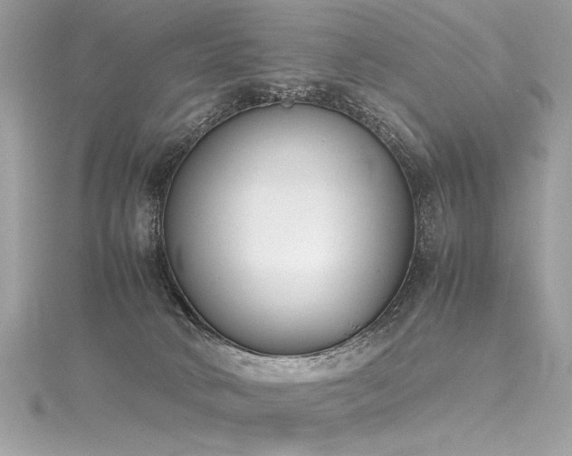 X0000116290034200911301428