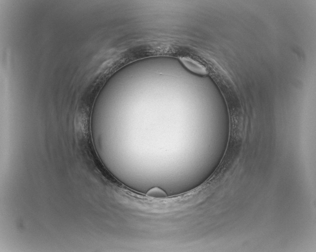 X0000116290035200911301428