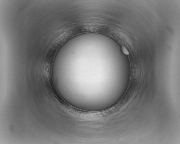 X0000116290036200911301428