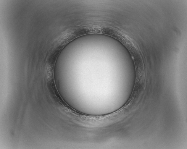 X0000116290037200911301428