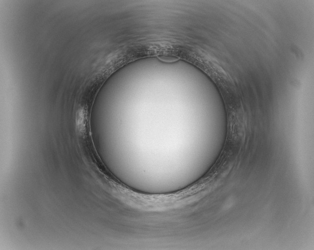 X0000116290038200911301428