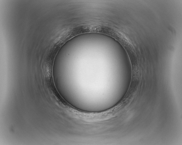 X0000116290039200911301428