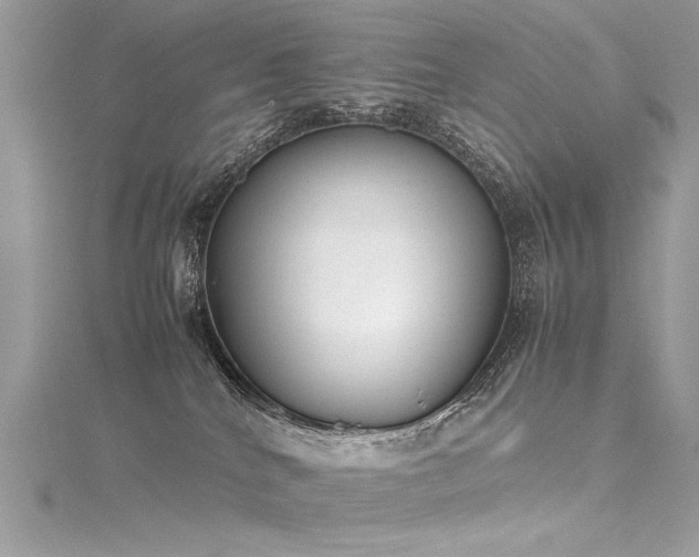 X0000116290040200911301428