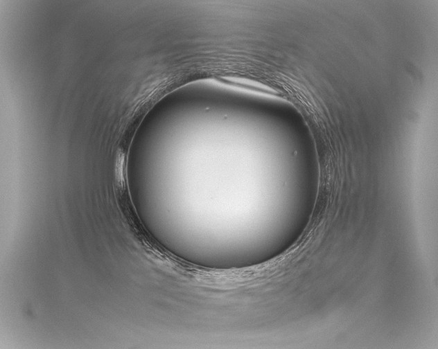 X0000116290041200911301428