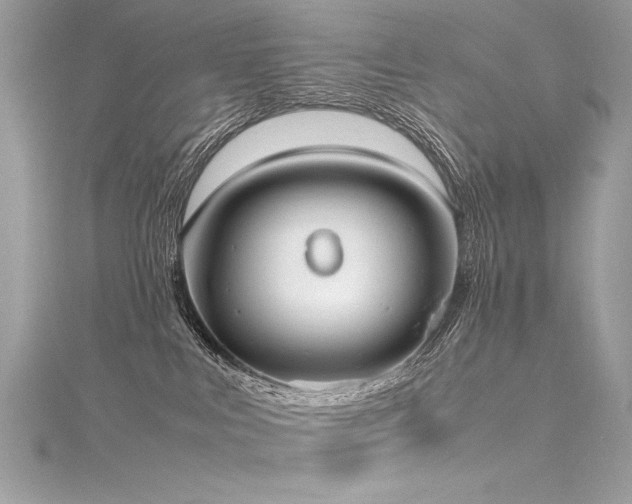 X0000116290043200911301428