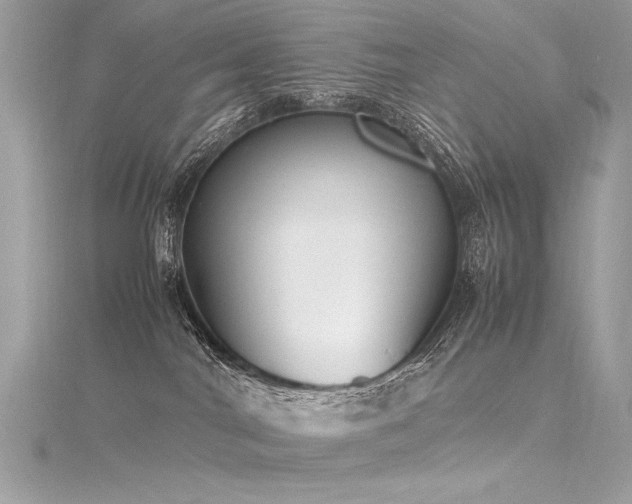 X0000116290044200911301428