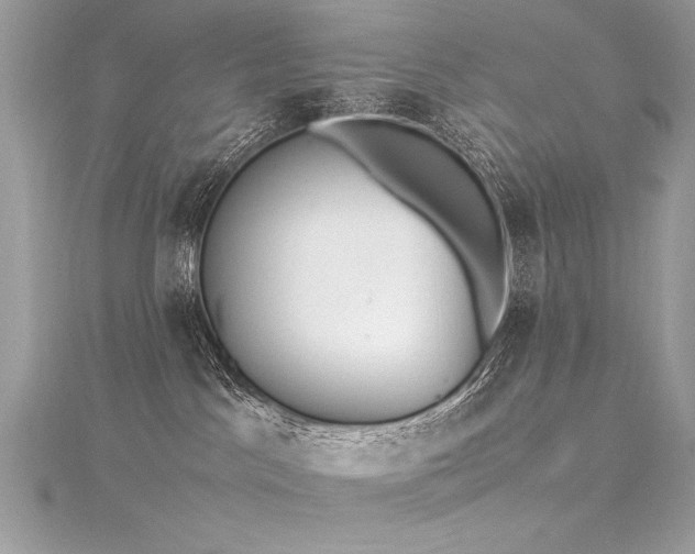 X0000116290045200911301428