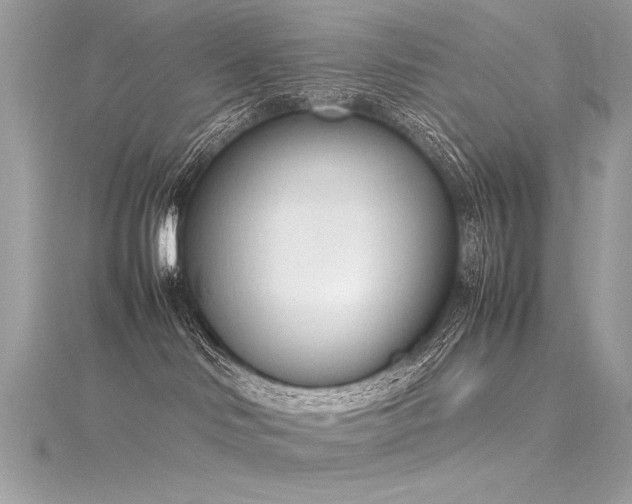 X0000116290046200911301428