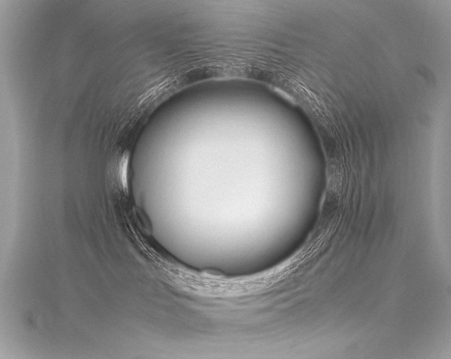 X0000116290047200911301428