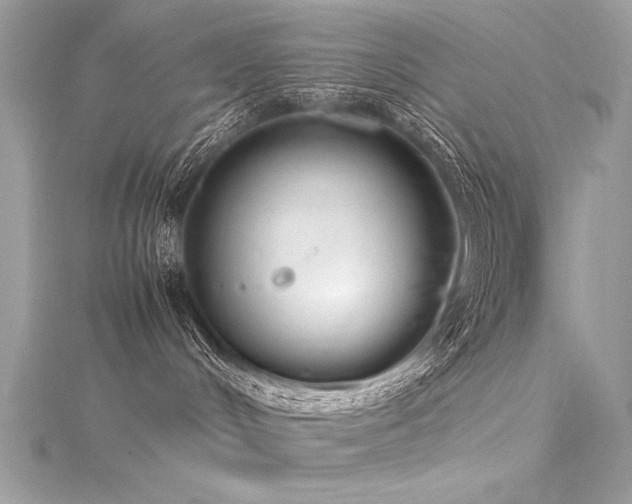 X0000116290048200911301428