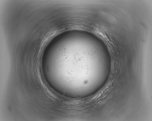 X0000116290049200911301427