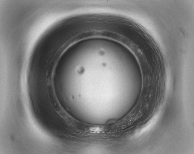 X0000116290050200911301427