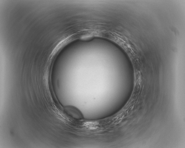 X0000116290051200911301427