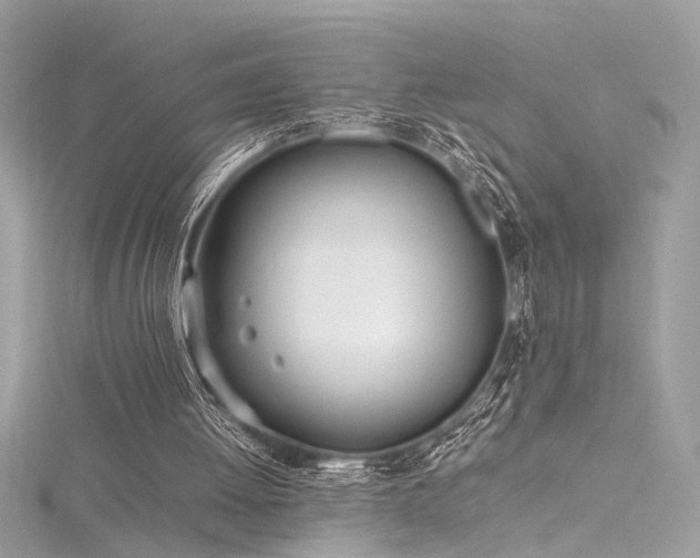 X0000116290052200911301427