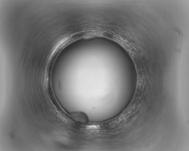 X0000116290053200911301427