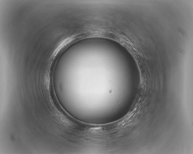 X0000116290054200911301427