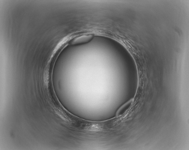 X0000116290056200911301427