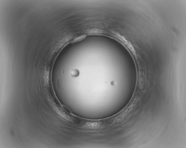 X0000116290057200911301427