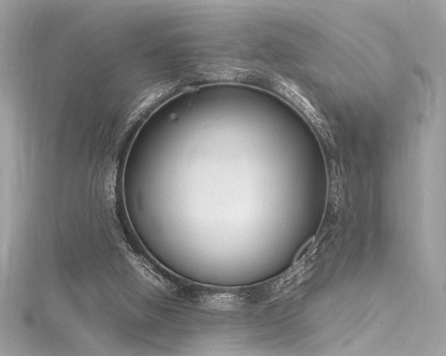 X0000116290058200911301427