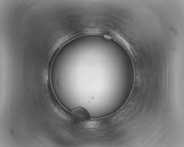 X0000116290059200911301427