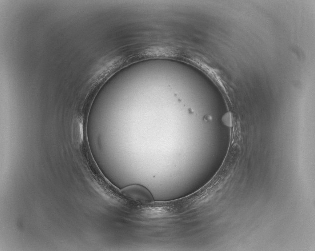 X0000116290061200911301427