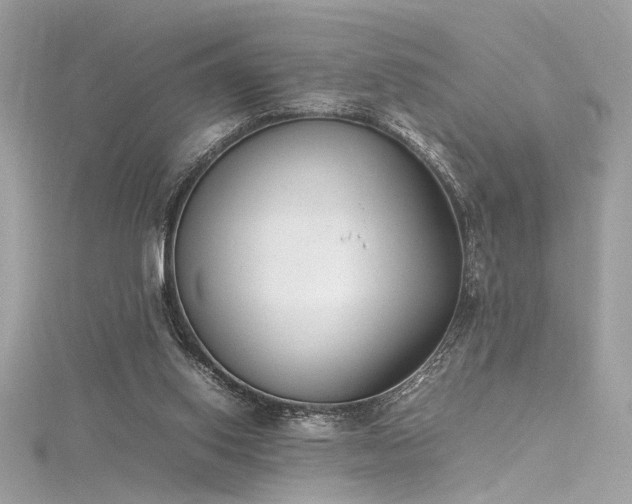 X0000116290062200911301427