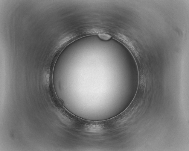 X0000116290063200911301427