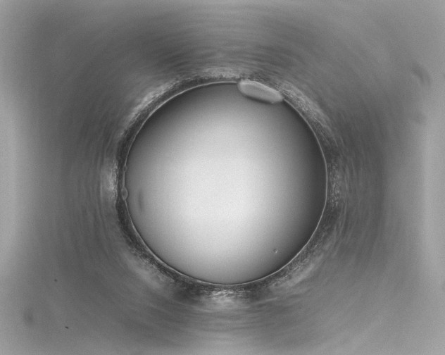 X0000116290064200911301427