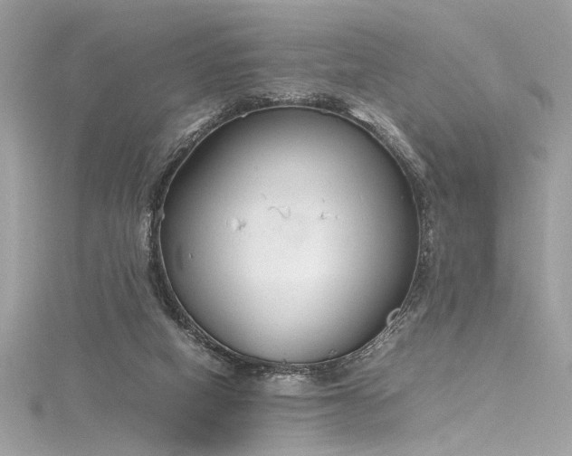 X0000116290066200911301427