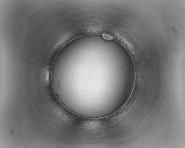 X0000116290067200911301427