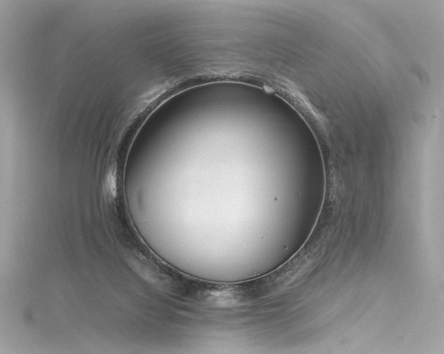 X0000116290068200911301427