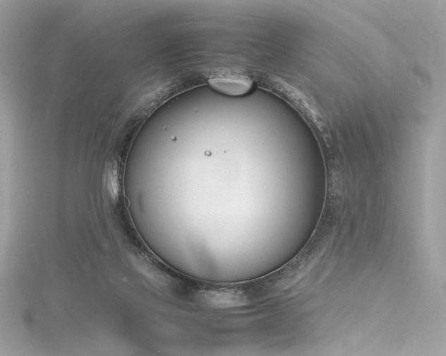 X0000116290069200911301427