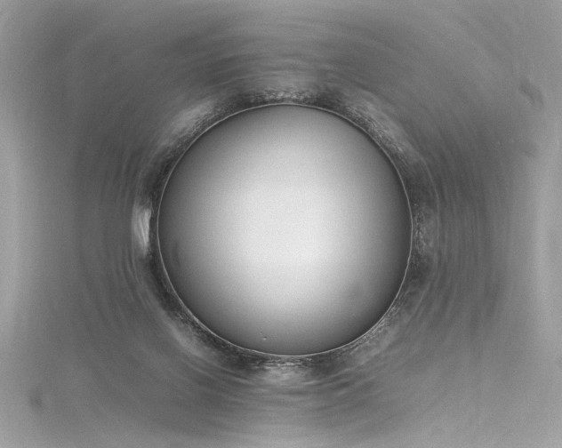 X0000116290070200911301427