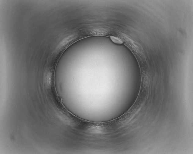 X0000116290071200911301427