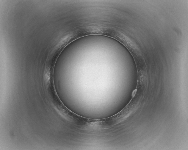 X0000116290072200911301427