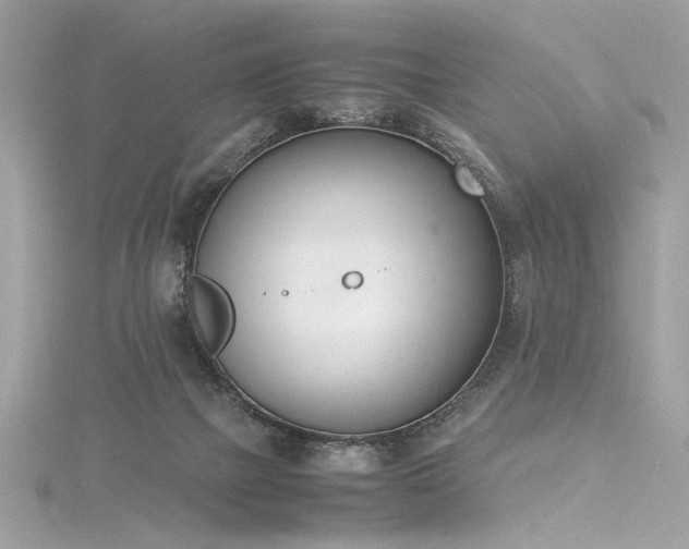 X0000116290073200911301427