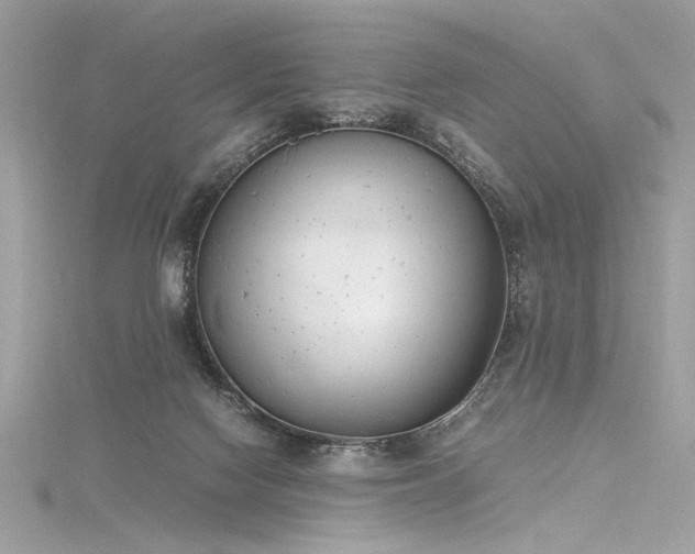 X0000116290074200911301427