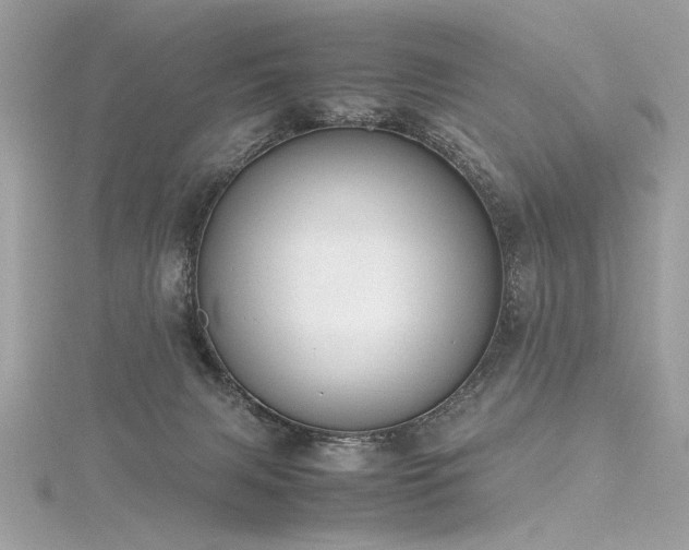 X0000116290079200911301427