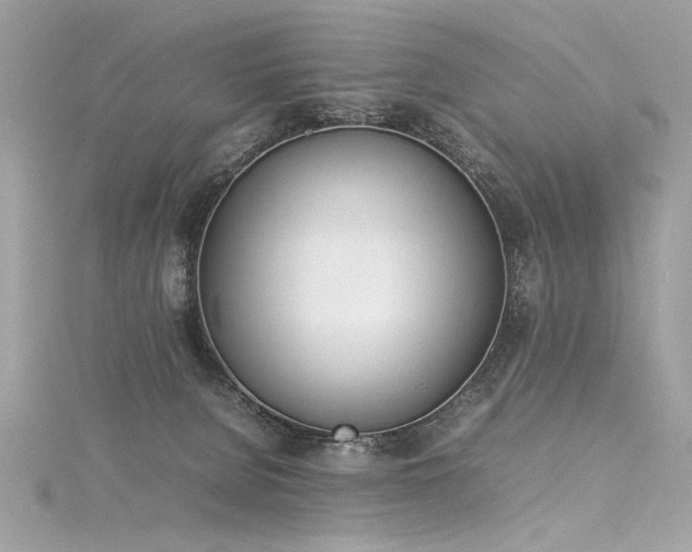 X0000116290080200911301427