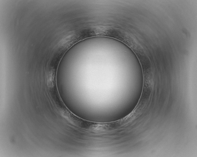 X0000116290082200911301428