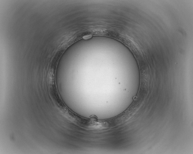 X0000116290083200911301428