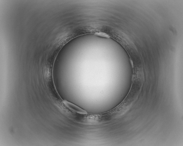 X0000116290084200911301428