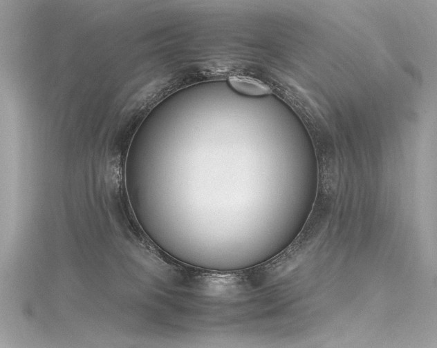 X0000116290085200911301428