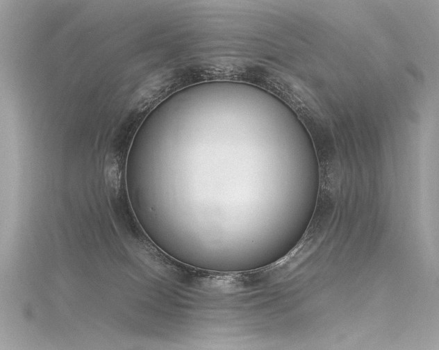 X0000116290086200911301428