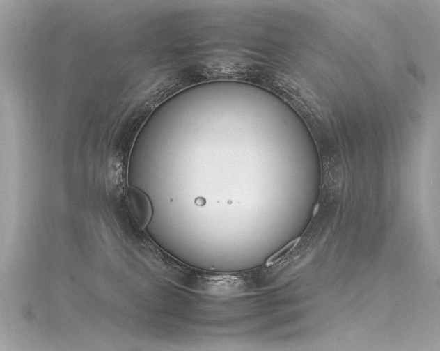 X0000116290087200911301428