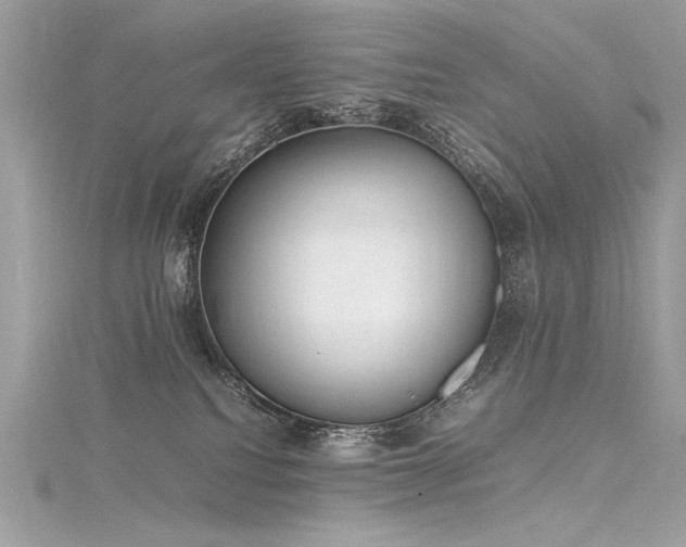 X0000116290088200911301428