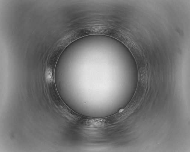 X0000116290089200911301428